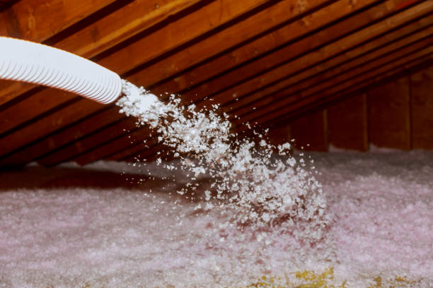 Best DIY Insulation Kits and Guidance in Cape Neddick, ME