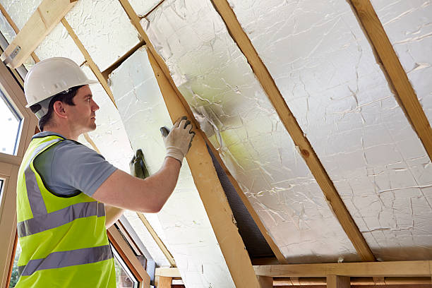 Best Eco-Friendly Insulation in Cape Neddick, ME