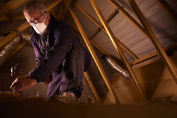 Best Geographic-Specific Insulation Services in Cape Neddick, ME